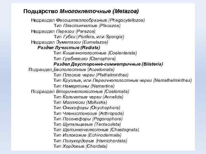 Подцарство Многоклеточные (Metazoa) Надраздел Фагоцителлообразные (Phagocytellozoa) Тип Пластинчатые (Placozoa) Надраздел Паразои (Parazoa) Тип Губки