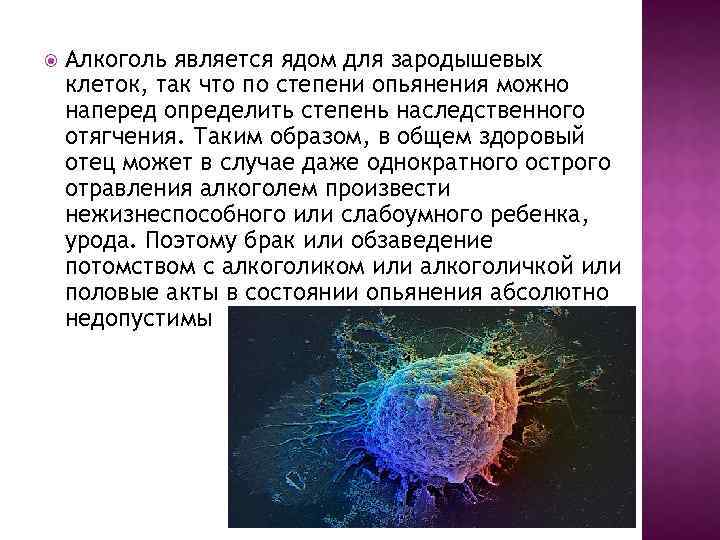  Алкоголь является ядом для зародышевых клеток, так что по степени опьянения можно наперед