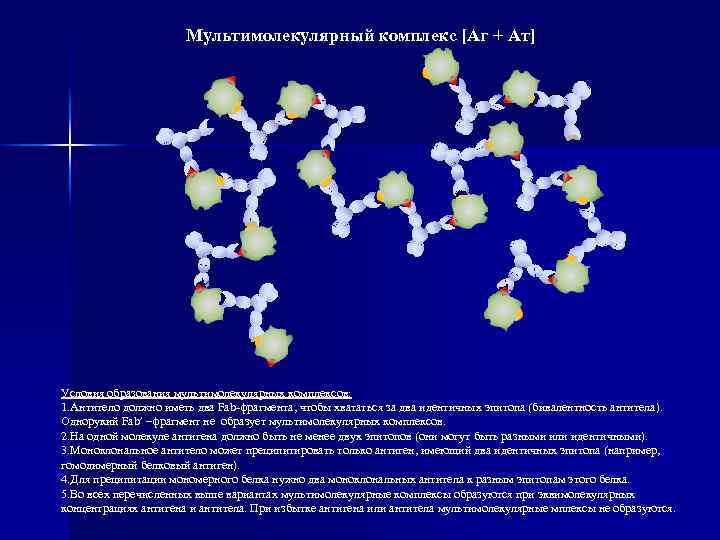 Мультимолекулярный комплекс [Аг + Ат] Условия образования мультимолекулярных комплексов: 1. Антитело должно иметь два