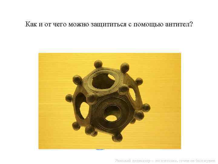 Как и от чего можно защититься с помощью антител? Римский додекаэдр – не известно,