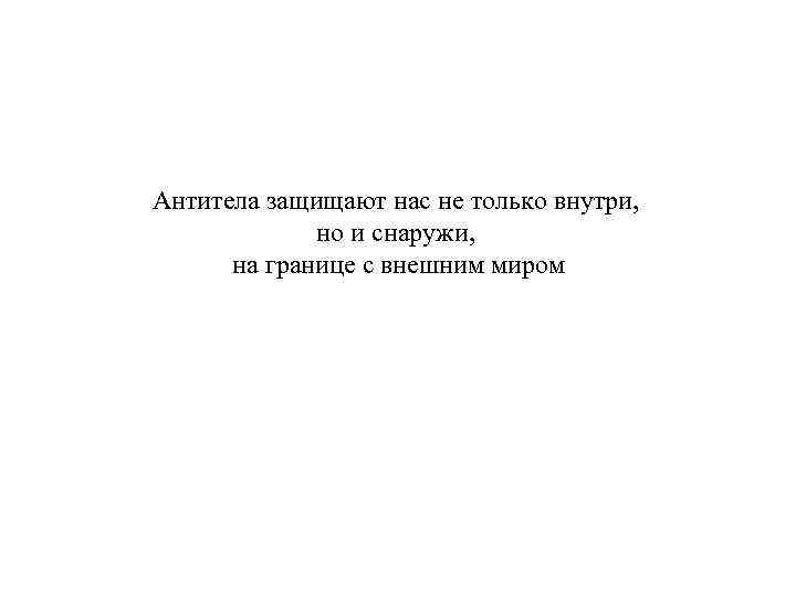 Антитела защищают нас не только внутри, но и снаружи, на границе с внешним миром