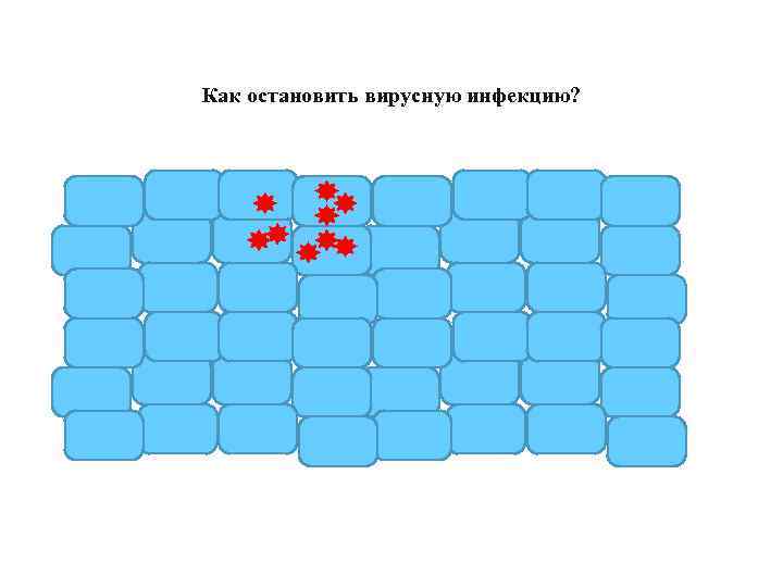 Как остановить вирусную инфекцию? 