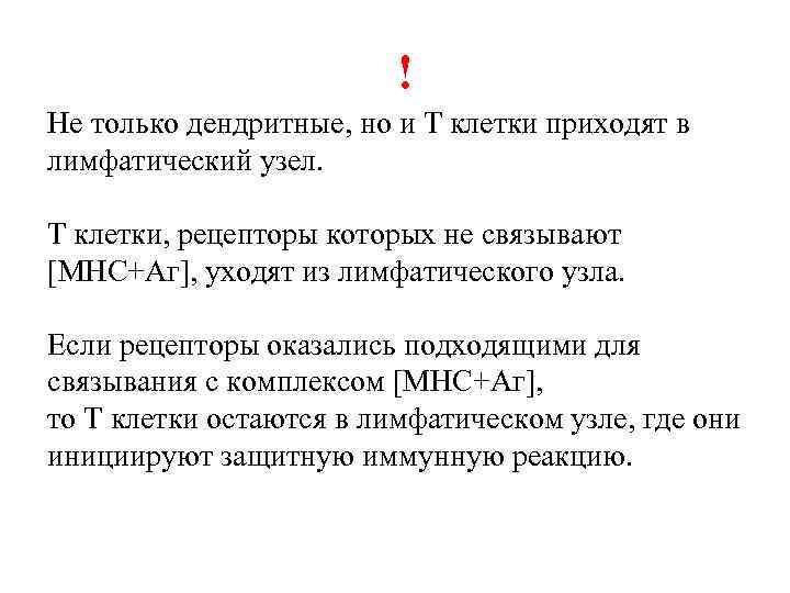 ! Не только дендритные, но и Т клетки приходят в лимфатический узел. Т клетки,