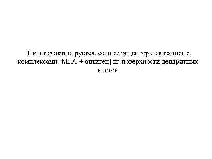Т-клетка активируется, если ее рецепторы связались с комплексами [MHC + антиген] на поверхности дендритных