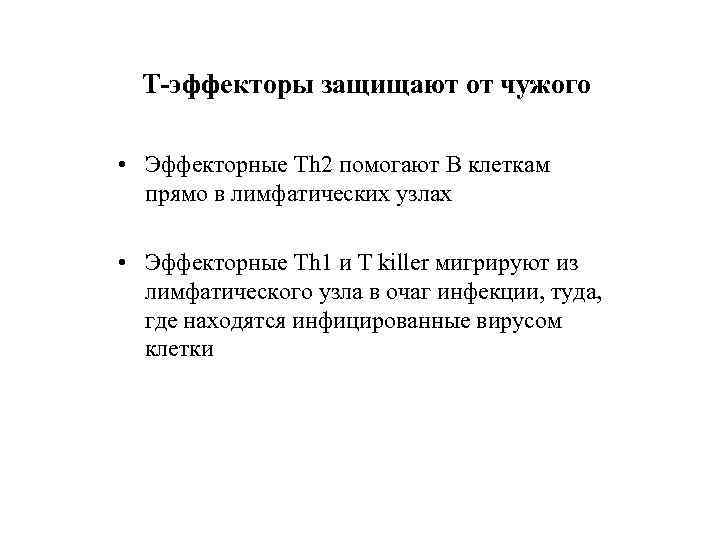 Т-эффекторы защищают от чужого • Эффекторные Th 2 помогают В клеткам прямо в лимфатических