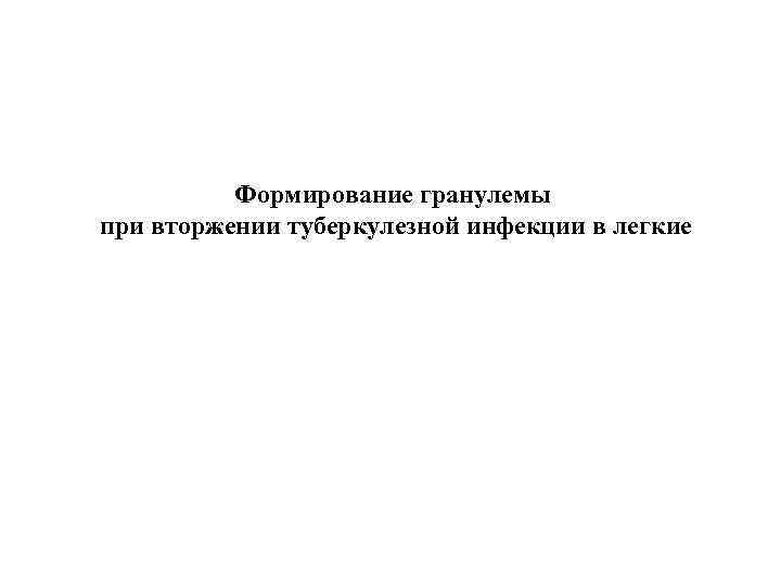 Формирование гранулемы при вторжении туберкулезной инфекции в легкие 