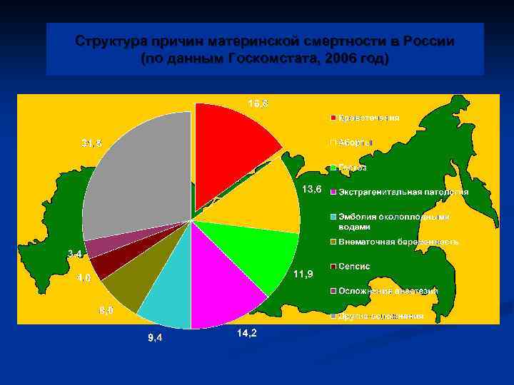 Структура причин материнской смертности в России (по данным Госкомстата, 2006 год) 