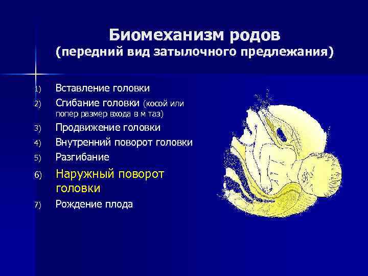 Биомеханизм родов (передний вид затылочного предлежания) 1) 2) Вставление головки Сгибание головки (косой или