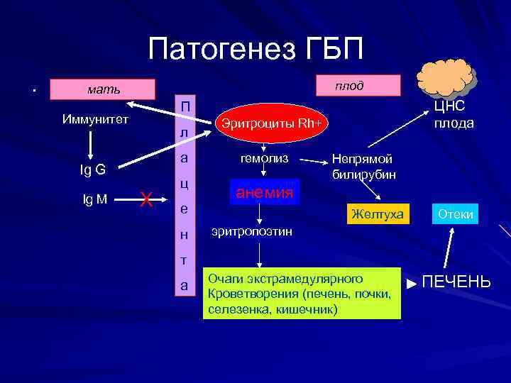 Патогенез ГБП. плод мать Иммунитет л а Ig G Ig M ЦНС плода П