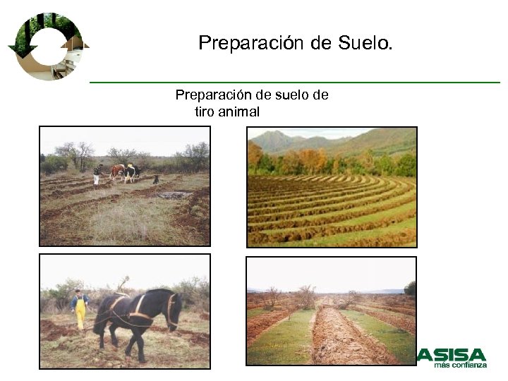 Preparación de Suelo. Preparación de suelo de tiro animal 