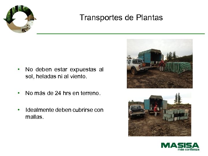 Transportes de Plantas • No deben estar expuestas al sol, heladas ni al viento.
