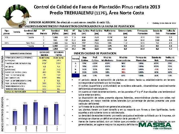 Control de Calidad de Faena de Plantación Pinus radiata 2013 Predio TREHUALEMU (1176), Área