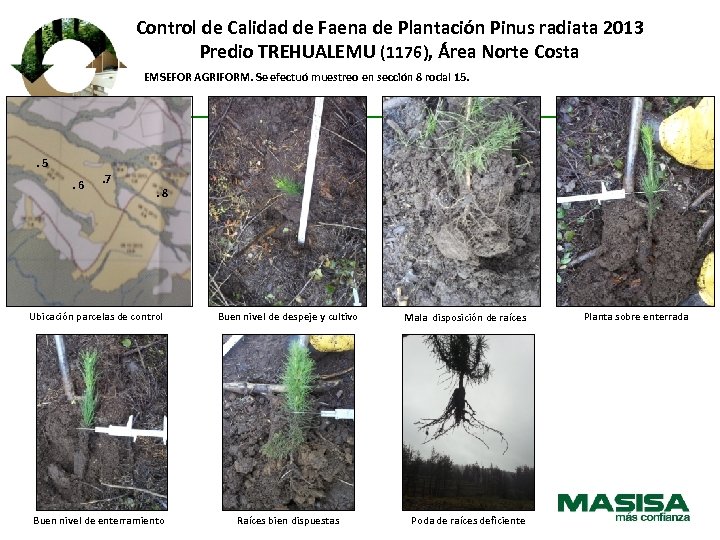Control de Calidad de Faena de Plantación Pinus radiata 2013 Predio TREHUALEMU (1176), Área