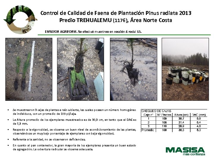 Control de Calidad de Faena de Plantación Pinus radiata 2013 Predio TREHUALEMU (1176), Área