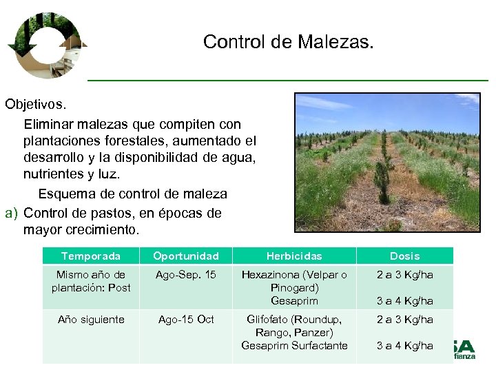 Control de Malezas. Objetivos. Eliminar malezas que compiten con plantaciones forestales, aumentado el desarrollo
