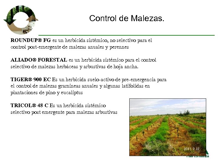 Control de Malezas. ROUNDUP® FG es un herbicida sistémico, no selectivo para el control