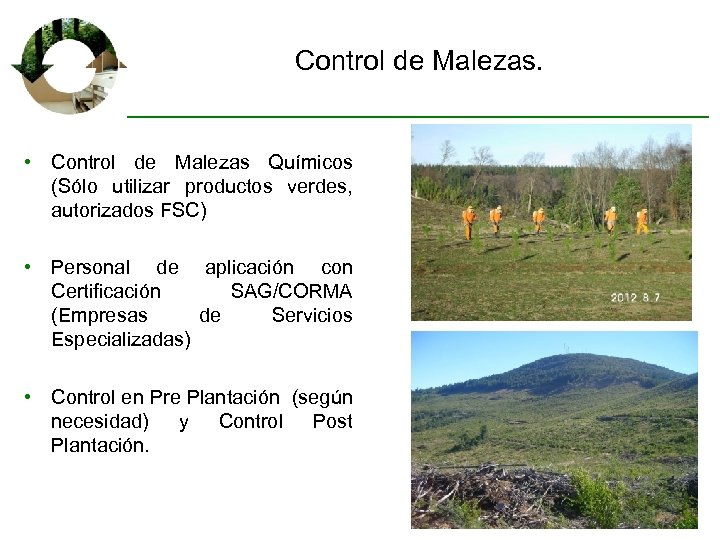 Control de Malezas. • Control de Malezas Químicos (Sólo utilizar productos verdes, autorizados FSC)