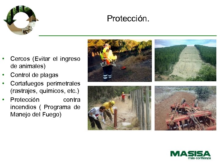 Protección. • Cercos (Evitar el ingreso de animales) • Control de plagas • Cortafuegos