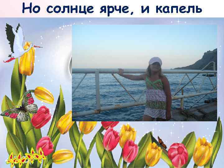 Но солнце ярче, и капель 