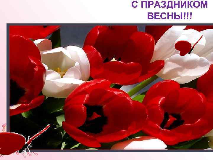С ПРАЗДНИКОМ ВЕСНЫ!!! 