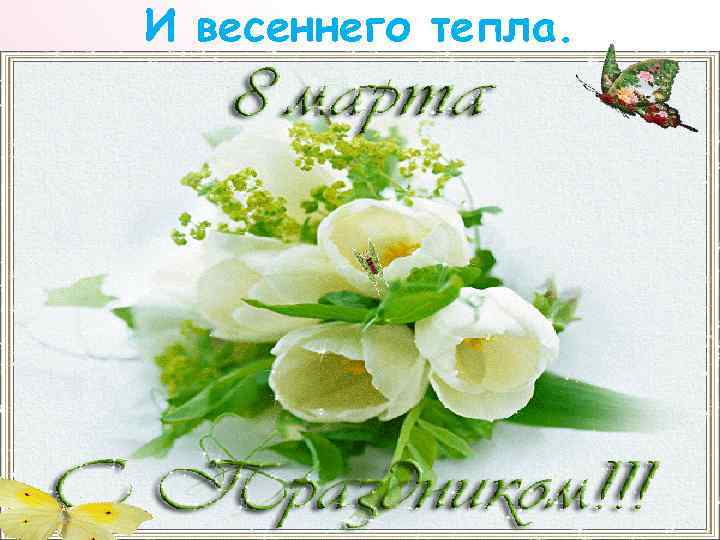 И весеннего тепла. 
