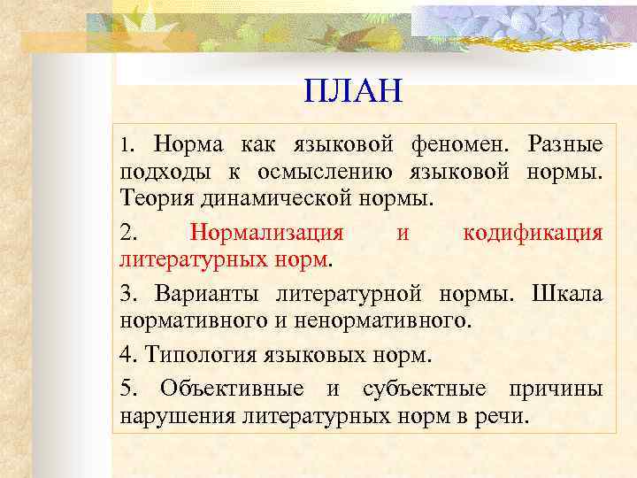 ПЛАН 1. Норма как языковой феномен. Разные подходы к осмыслению языковой нормы. Теория динамической