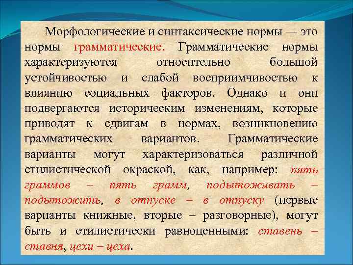 Лексико грамматические нормы. Морфологические и синтаксические нормы. Грамматические нормы. Грамматические морфологические нормы.