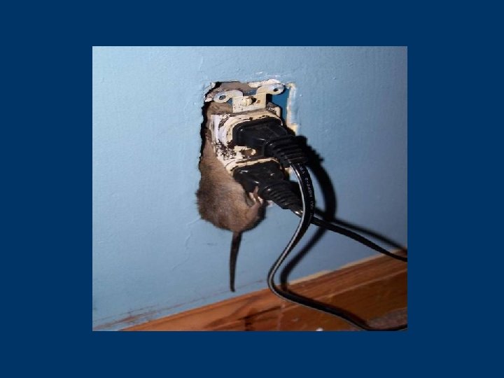 Example of properly labeled electric service: motors, disconnects and breakers FOR EXAMPLE… Subtitles &