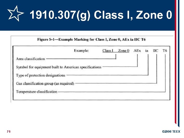 1910. 307(g) Class I, Zone 0 75 © 2006 TEEX 