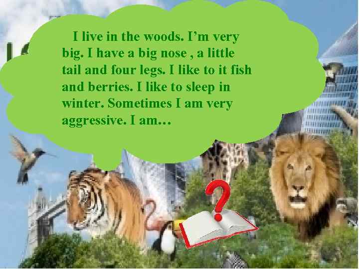 I live in the woods. I’m very big. I have a big nose ,