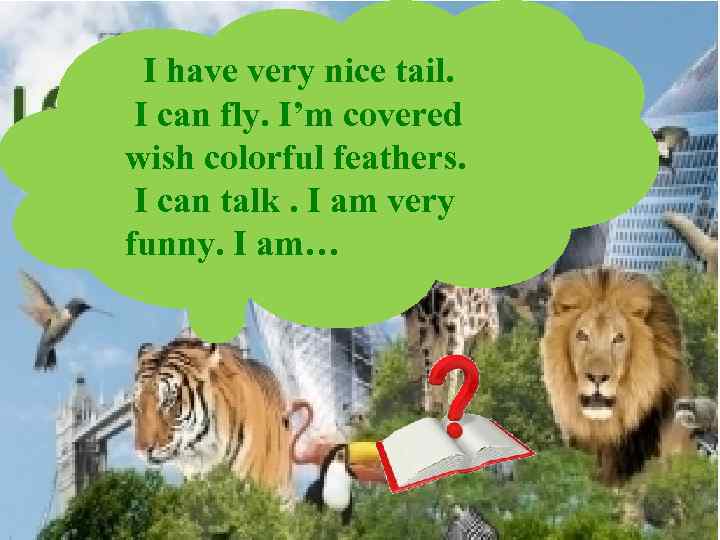 I have very nice tail. I can fly. I’m covered wish colorful feathers. I