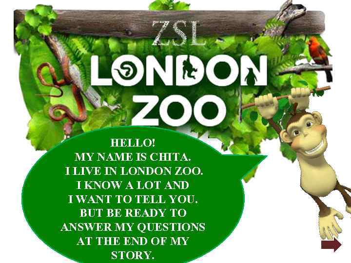 HELLO! MY NAME IS CHITA. I LIVE IN LONDON ZOO. I KNOW A LOT