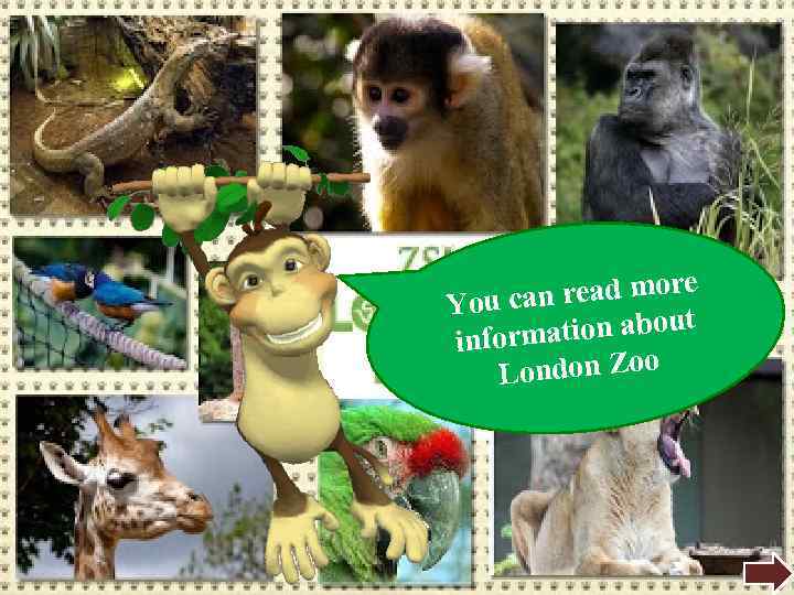 e an read mor You c ation about inform ondon Zoo L 