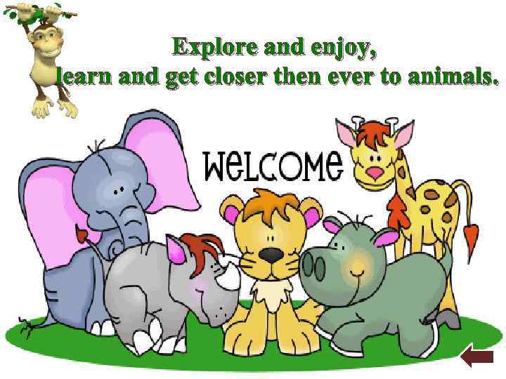 Explore and enjoy, learn and get closer then ever to animals. 