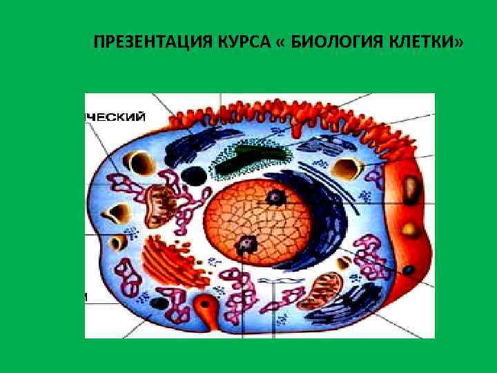 Презентация на тему клетка биология. Клетка для презентации. Баннеры по биологии по клетки. Все клетки биология. Клетка курс биология.