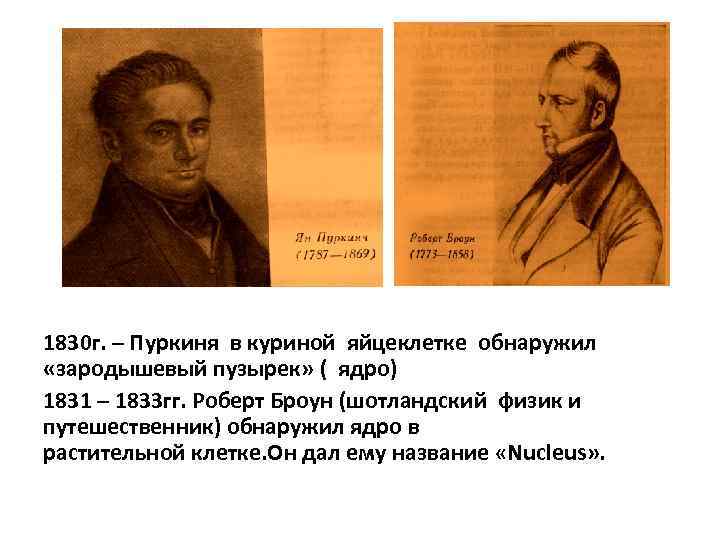 1830 г. – Пуркиня в куриной яйцеклетке обнаружил «зародышевый пузырек» ( ядро) 1831 –