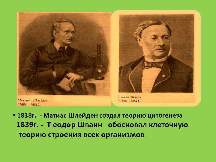 Клеточная теория шванн шлейден вирхов