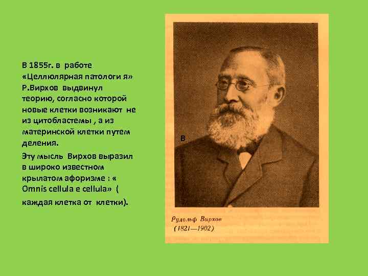 В 1855 г. в работе «Целлюлярная патологи я» Р. Вирхов выдвинул теорию, согласно которой