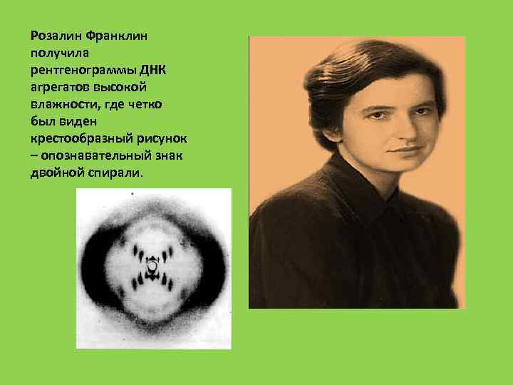 Розалин Франклин получила рентгенограммы ДНК агрегатов высокой влажности, где четко был виден крестообразный рисунок