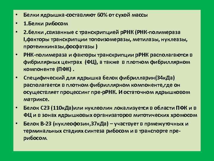  • Белки ядрышка составляют 60% от сухой массы • 1. Белки рибосом •