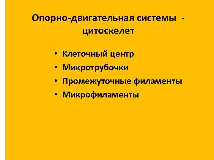 Опорно-двигательная системы - цитоскелет • • Клеточный центр Микротрубочки Промежуточные филаменты Микрофиламенты 