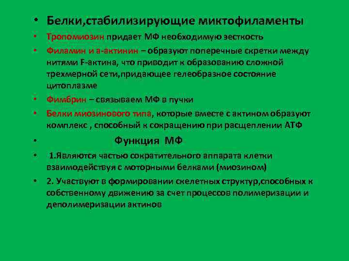  • Белки, стабилизирующие миктофиламенты • Тропомиозин придает МФ необходимую эесткость • Филамин и