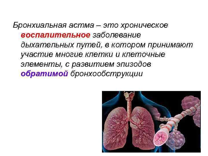 Школа больного бронхиальной астмой презентация