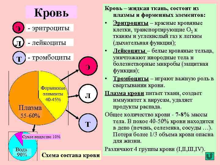 Кровь э л т - эритроциты - лейкоциты - тромбоциты Форменные элементы 40 -45%