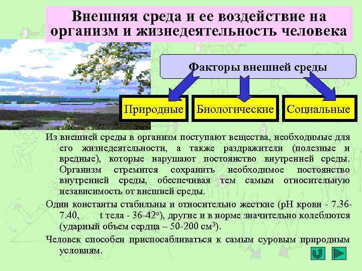 Внешняя среда и ее воздействие на организм и жизнедеятельность человека Факторы внешней среды Природные