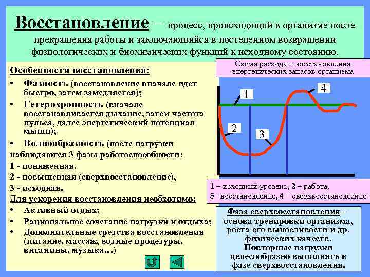 Восстановление – процесс, происходящий в организме после прекращения работы и заключающийся в постепенном возвращении