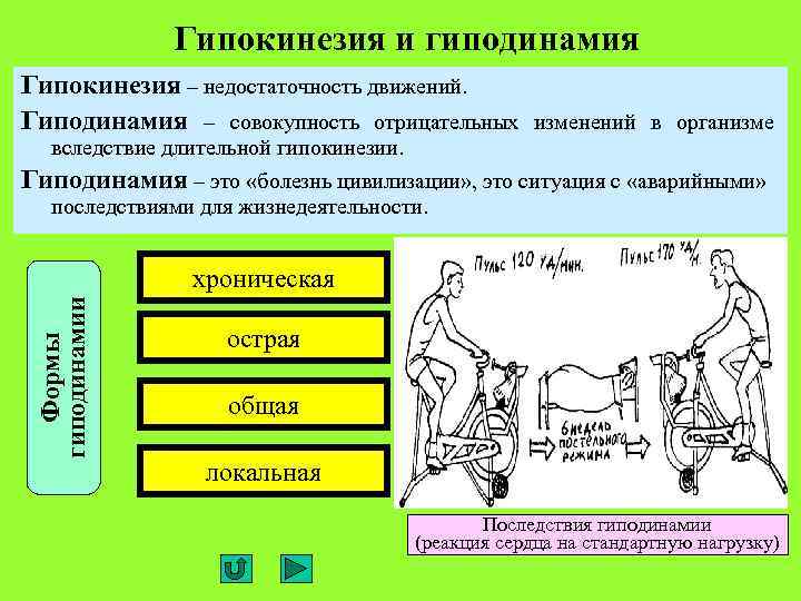 Гипокинезия и гиподинамия Гипокинезия – недостаточность движений. Гиподинамия – совокупность отрицательных изменений в организме