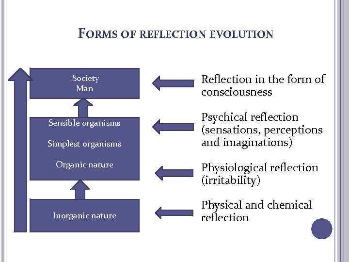 FORMS OF REFLECTION EVOLUTION Society Man Sensible organisms Simplest organisms Organic nature Inorganic nature