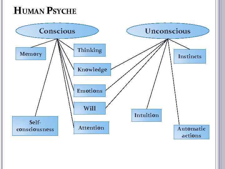 HUMAN PSYCHE Conscious Memory Unconscious Thinking Instincts Knowledge Emotions Will Selfconsciousness Attention Intuition Automatic