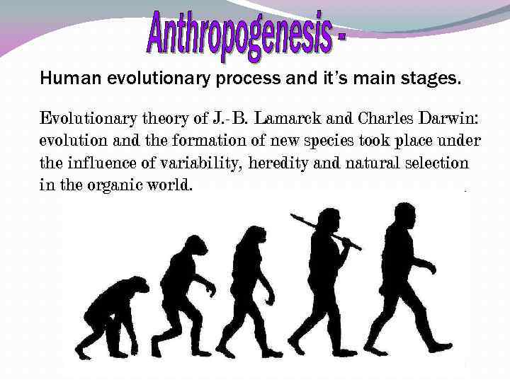 Human evolutionary process and it’s main stages. Evolutionary theory of J. -B. Lamarck and